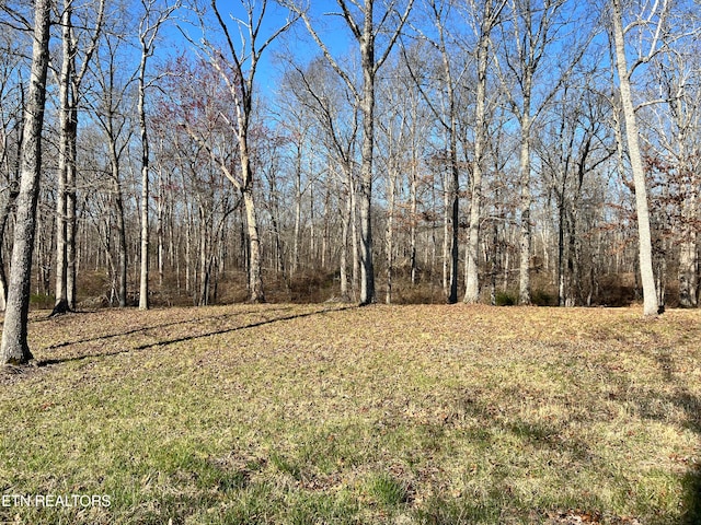 Bluff View Loop, Crossville TN, 38571 land for sale