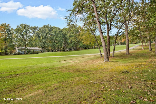 view of property's community featuring a yard