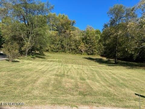 300 Franklin Estates Ln Unit 32, Greenback TN, 37742 land for sale