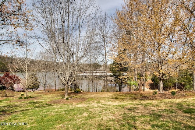 191 White Swan Dr, Vonore TN, 37885 land for sale