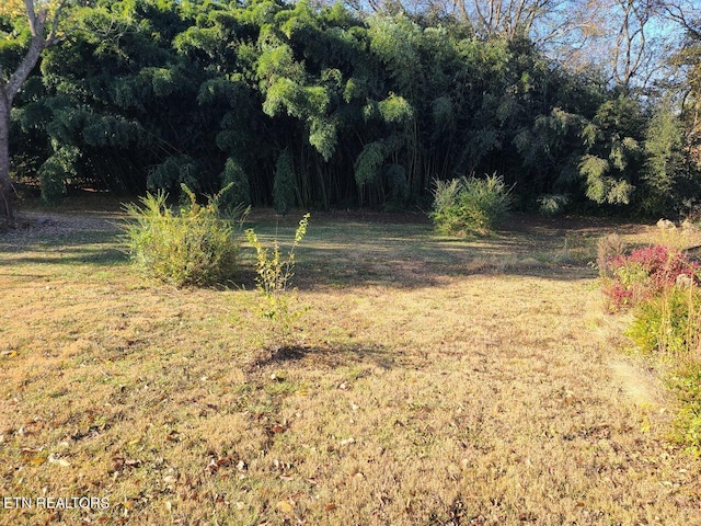 722 Auburn Dr, Maryville, TN 37801 - photo 6