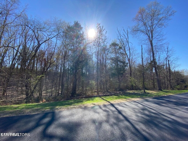 Eagle Ridge Dr, Rockwood TN, 37854 land for sale