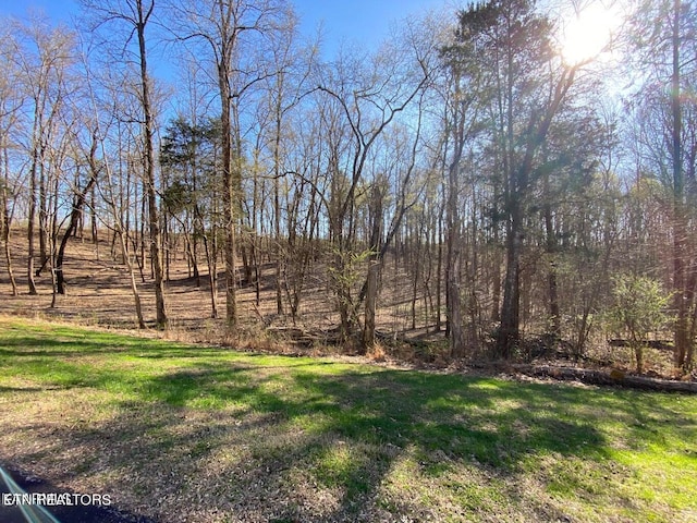 Listing photo 2 for Eagle Ridge Dr, Rockwood TN 37854