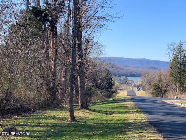 Eagle Ridge Dr, Rockwood, TN 37854 - photo 4
