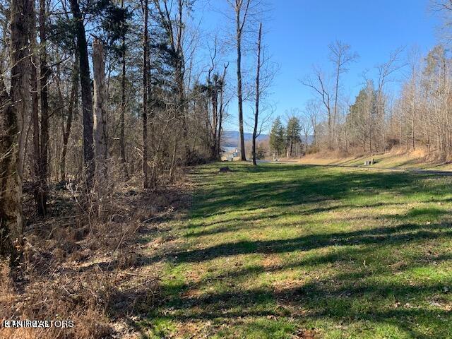 Eagle Ridge Dr, Rockwood, TN 37854 - photo 5