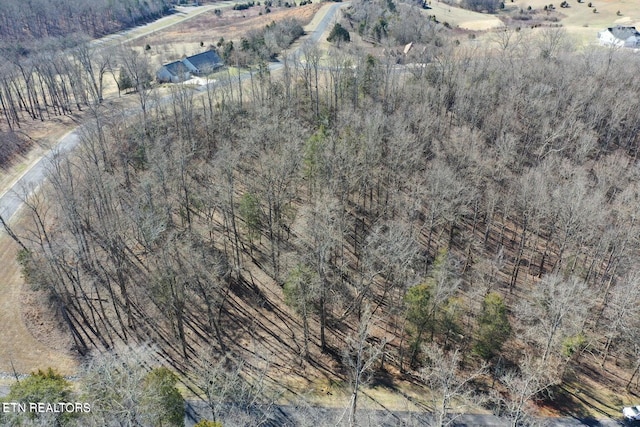 Eagle Ridge Dr, Rockwood, TN 37854 - photo 6