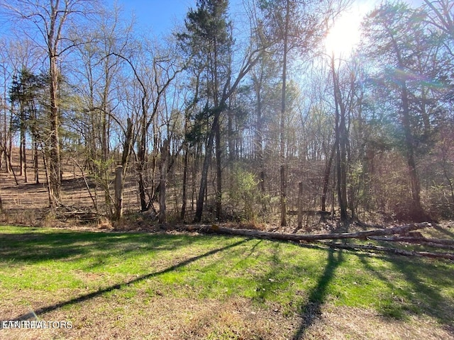 Eagle Ridge Dr, Rockwood, TN 37854 - photo 8