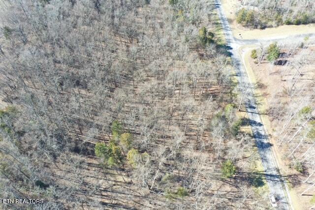Eagle Ridge Dr, Rockwood, TN 37854 - photo 9