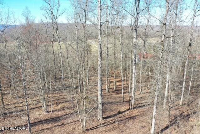 Eagle Ridge Dr, Rockwood, TN 37854 - photo 10