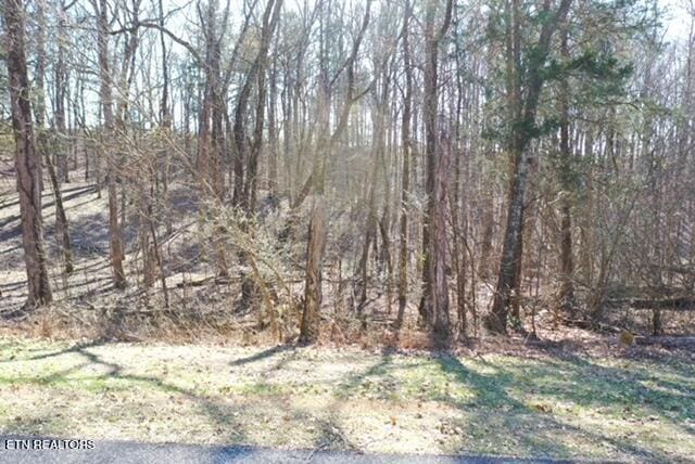 Eagle Ridge Dr, Rockwood, TN 37854 - photo 11