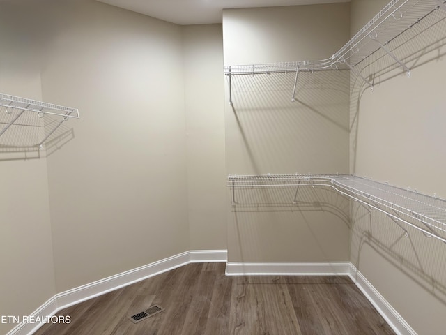 spacious closet featuring wood-type flooring