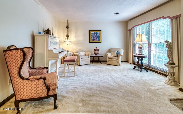 sitting room featuring crown molding, light colored carpet, and a textured ceiling