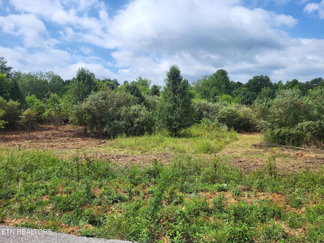 Woodgate Dr, Crossville TN, 38571 land for sale