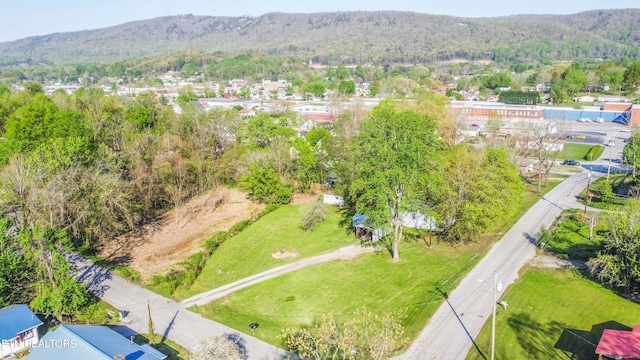 bird's eye view with a mountain view