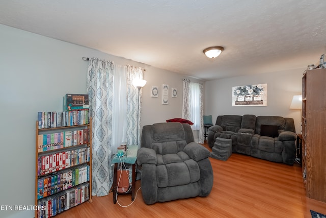 living room featuring light hardwood / wood-style floors