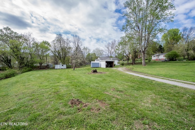 view of yard with a shed