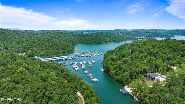 0 Carp Ln, Lafollette, TN 37766
