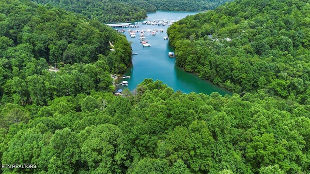 0 Carp Ln, Lafollette, TN 37766