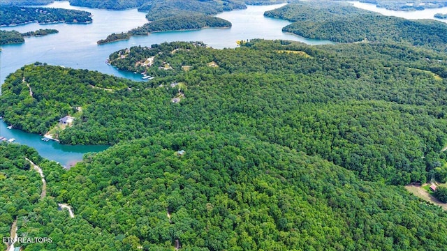 0 Carp Ln, Lafollette, TN 37766