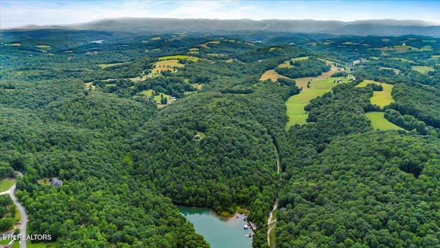 0 Carp Ln, Lafollette, TN 37766