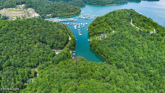 0 Carp Ln, Lafollette, TN 37766