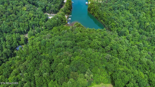 0 Carp Ln, Lafollette, TN 37766
