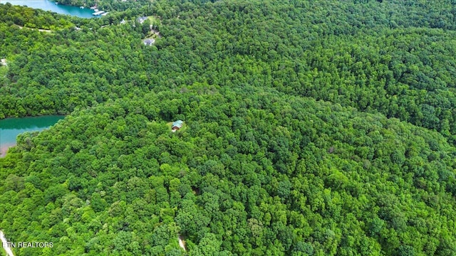 0 Carp Ln, Lafollette, TN 37766