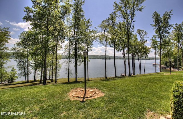 view of water feature