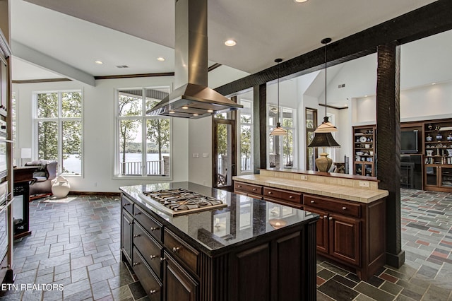 kitchen featuring hanging light fixtures, a kitchen island, dark brown cabinetry, island exhaust hood, and stainless steel appliances