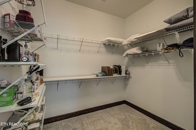 spacious closet featuring carpet floors