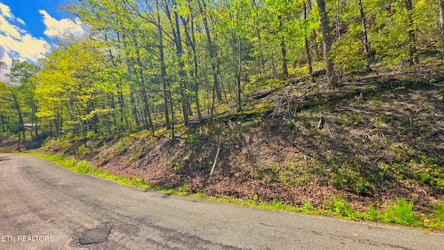 Mountain Blvd, Sevierville TN, 37876 land for sale