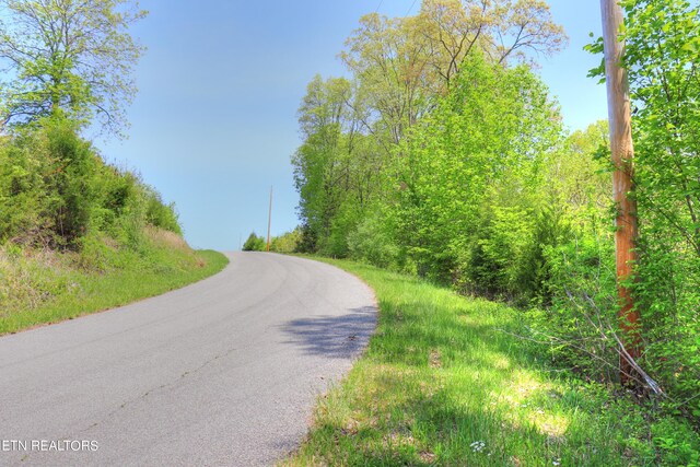 LOT172 Saddleridge Dr, Speedwell, TN 37870 - photo 2
