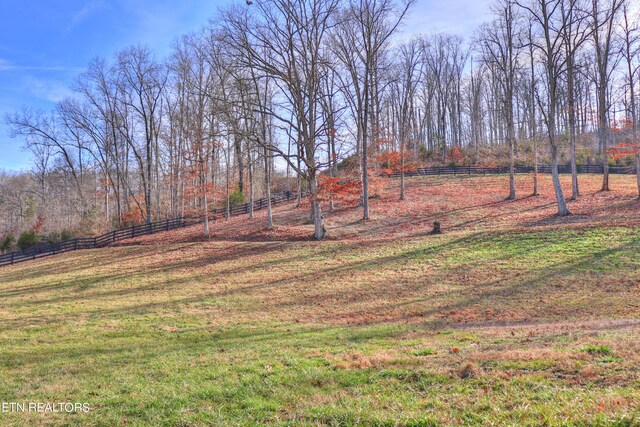 LOT172 Saddleridge Dr, Speedwell, TN 37870 - photo 25