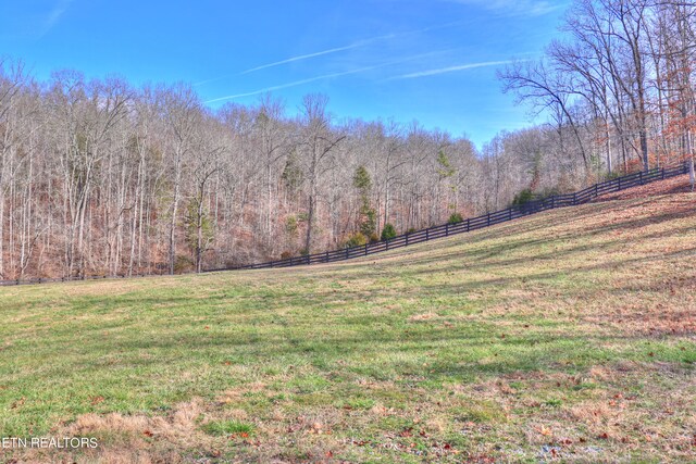 LOT172 Saddleridge Dr, Speedwell, TN 37870 - photo 26