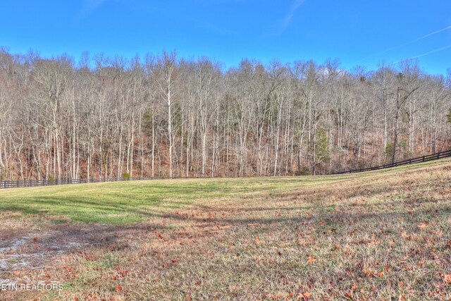 LOT172 Saddleridge Dr, Speedwell, TN 37870 - photo 27