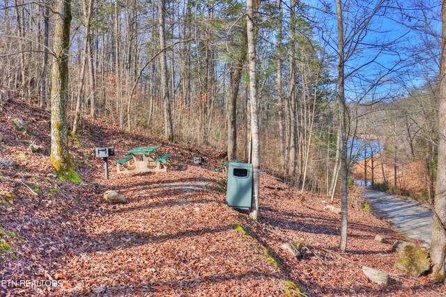 LOT172 Saddleridge Dr, Speedwell, TN 37870 - photo 28