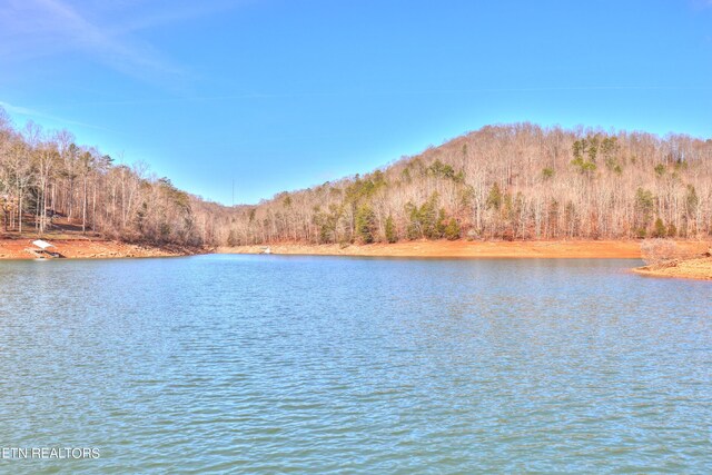 LOT172 Saddleridge Dr, Speedwell, TN 37870 - photo 39