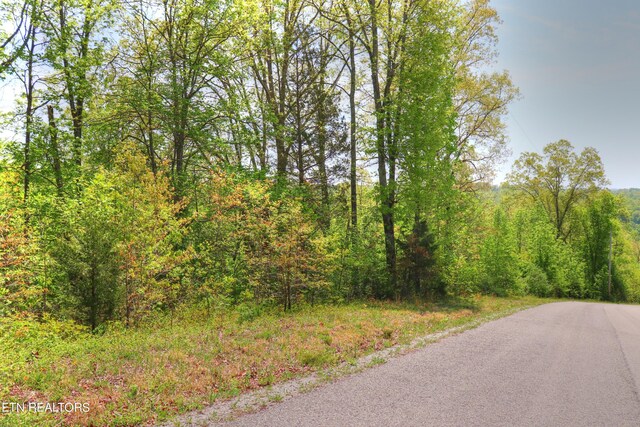 LOT172 Saddleridge Dr, Speedwell, TN 37870