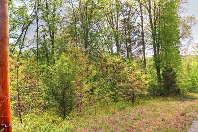 LOT172 Saddleridge Dr, Speedwell, TN 37870
