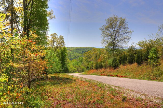 LOT172 Saddleridge Dr, Speedwell, TN 37870