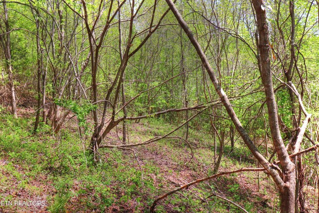 LOT172 Saddleridge Dr, Speedwell, TN 37870