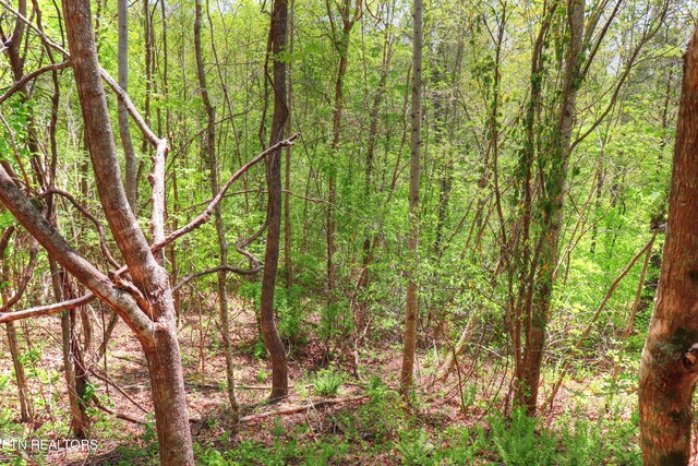 LOT172 Saddleridge Dr, Speedwell, TN 37870
