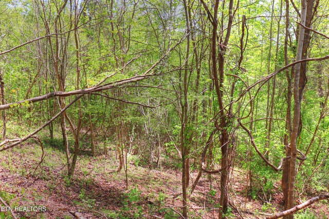 LOT172 Saddleridge Dr, Speedwell, TN 37870