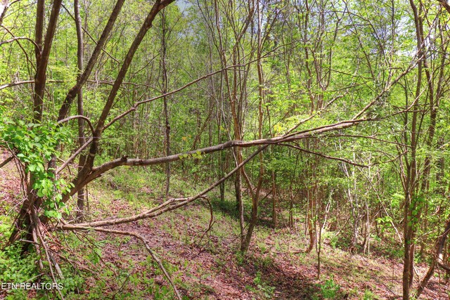 LOT172 Saddleridge Dr, Speedwell, TN 37870
