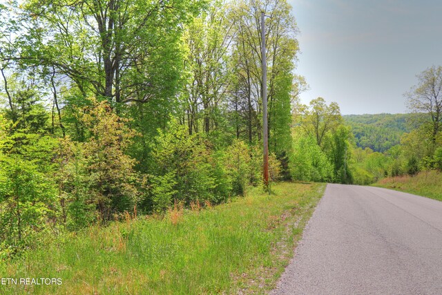 LOT172 Saddleridge Dr, Speedwell, TN 37870