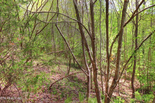 LOT172 Saddleridge Dr, Speedwell, TN 37870