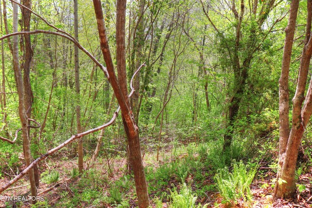 LOT172 Saddleridge Dr, Speedwell, TN 37870