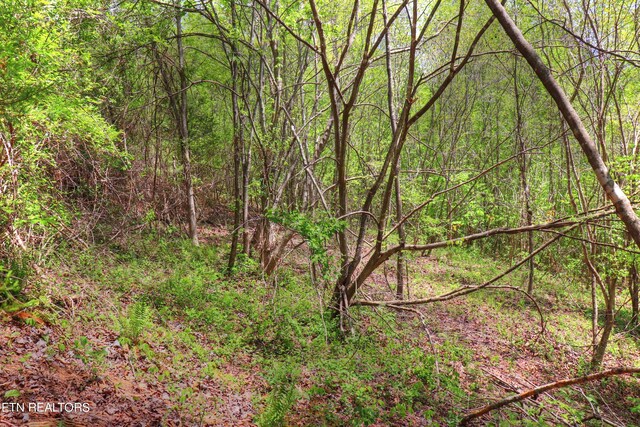 LOT172 Saddleridge Dr, Speedwell, TN 37870