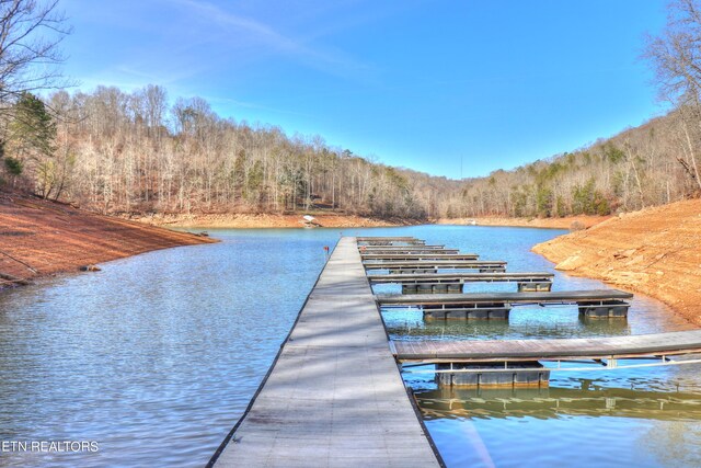 LOT172 Saddleridge Dr, Speedwell, TN 37870