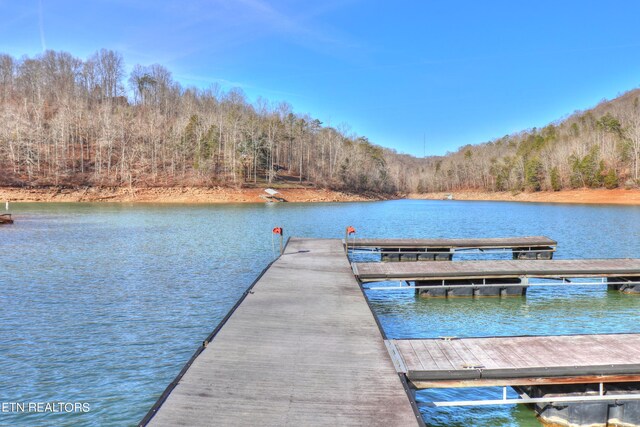 LOT172 Saddleridge Dr, Speedwell, TN 37870